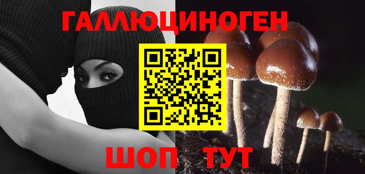 Псилоцибиновые грибы мухоморы Жигулёвск